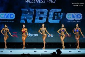 WELLNESS +163
